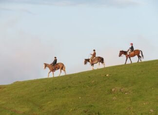 Boys Riding Horses on a Hill